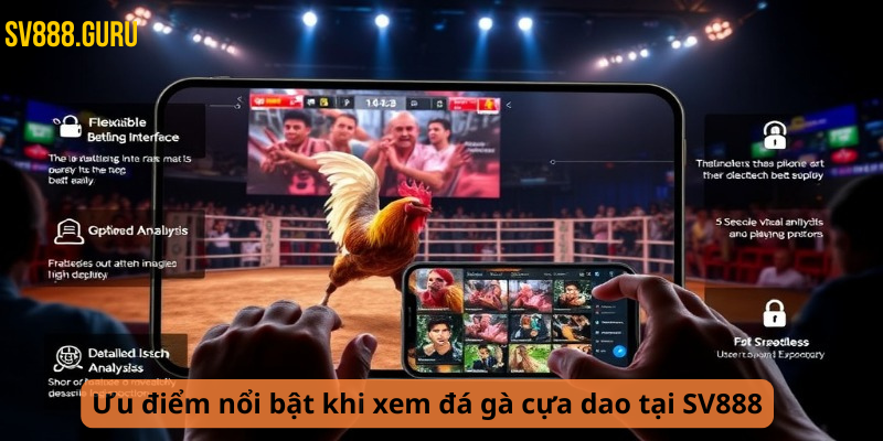Ưu điểm nổi bật khi xem đá gà cựa dao tại SV888
